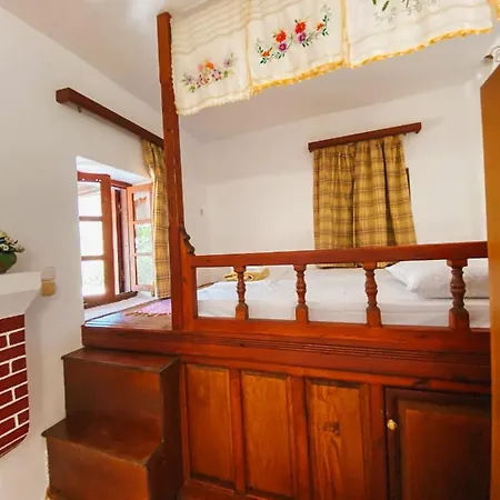 Traditional Karpathian Francis House